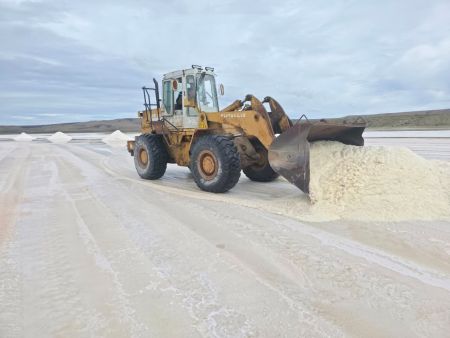 8351086c4ff220210f90545486404ea6_L