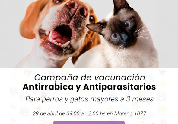 682339129_1295359292736230_5154761374325798747_n