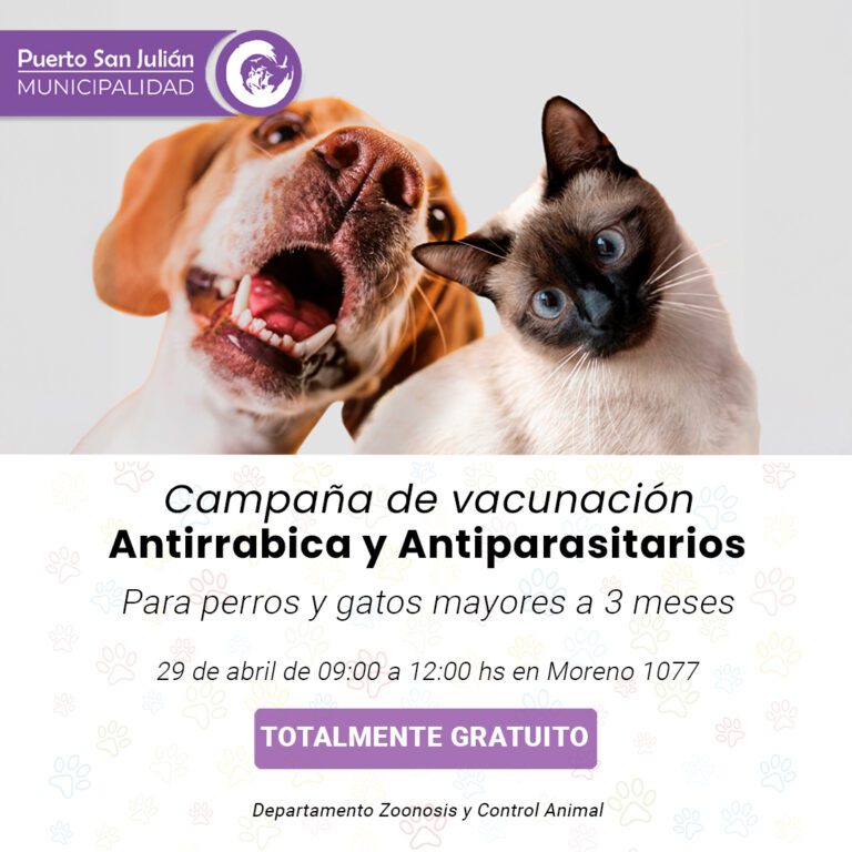 682339129_1295359292736230_5154761374325798747_n