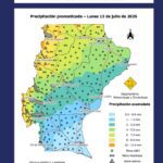 portada25351